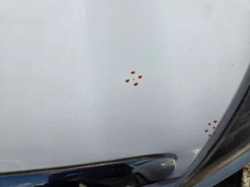 FORD FOCUS MK2 LIFT MASKA POKRYWA SILNIKA 56 - zdjęcie 9