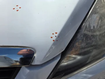 FORD FOCUS MK2 LIFT MASKA POKRYWA SILNIKA 56 - zdjęcie 10